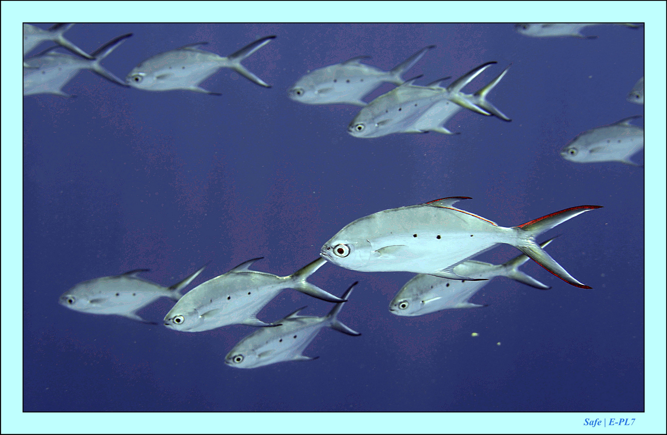 2023 - 07 - Sandies Bathala - 203